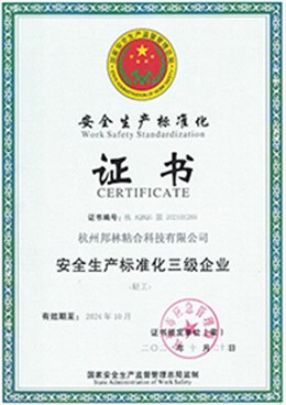 安全生产标准证书