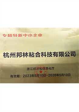 专精特新中小企业