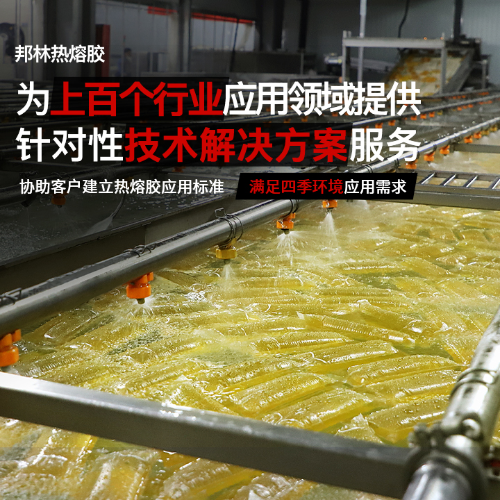 邦林热熔胶
为上百个行业应用领域提供
针对性技术解决方案服务