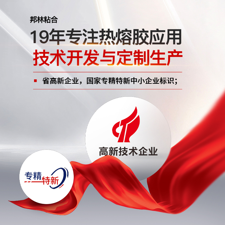 邦林粘合
19年专注热熔胶应用
技术开发与定制生产